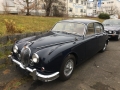 Frogeye Geschichte - Mein Austin Healey MK I - Frosch