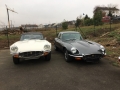 Frogeye Geschichte - Mein Austin Healey MK I - Frosch