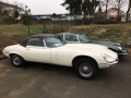 Frogeye Geschichte - Mein Austin Healey MK I - Frosch