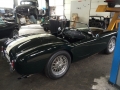 Frogeye Geschichte - Mein Austin Healey MK I - Frosch