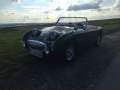 Frogeye Geschichte - Mein Austin Healey MK I - Frosch