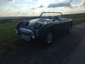 Frogeye Geschichte - Mein Austin Healey MK I - Frosch