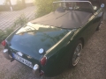 Frogeye Geschichte - Mein Austin Healey MK I - Frosch
