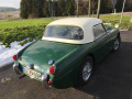 Frogeye Geschichte - Mein Austin Healey MK I - Frosch