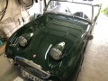Frogeye Geschichte - Mein Austin Healey MK I - Frosch