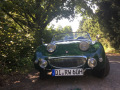 Frogeye Geschichte - Mein Austin Healey MK I - Frosch