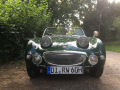 Frogeye Geschichte - Mein Austin Healey MK I - Frosch