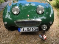 Frogeye Geschichte - Mein Austin Healey MK I - Frosch