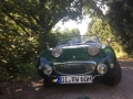 Frogeye Geschichte - Mein Austin Healey MK I - Frosch