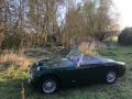 Frogeye Geschichte - Mein Austin Healey MK I - Frosch