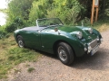 Frogeye Geschichte - Mein Austin Healey MK I - Frosch