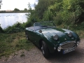 Frogeye Geschichte - Mein Austin Healey MK I - Frosch