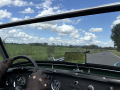 Frogeye Geschichte - Mein Austin Healey MK I - Frosch