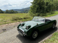 Frogeye Geschichte - Mein Austin Healey MK I - Frosch