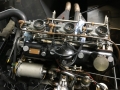 Frogeye Geschichte - Mein Austin Healey MK I - Frosch