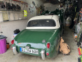 Frogeye Geschichte - Mein Austin Healey MK I - Frosch
