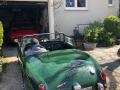 Frogeye Geschichte - Mein Austin Healey MK I - Frosch