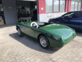 Frogeye Geschichte - Mein Austin Healey MK I - Frosch