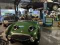 Frogeye Geschichte - Mein Austin Healey MK I - Frosch