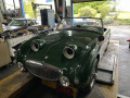 Frogeye Geschichte - Mein Austin Healey MK I - Frosch