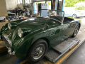 Frogeye Geschichte - Mein Austin Healey MK I - Frosch