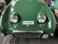 Frogeye Geschichte - Mein Austin Healey MK I - Frosch