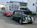 Frogeye Geschichte - Mein Austin Healey MK I - Frosch
