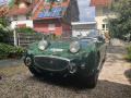 Frogeye Geschichte - Mein Austin Healey MK I - Frosch
