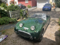 Frogeye Geschichte - Mein Austin Healey MK I - Frosch