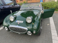 Frogeye Geschichte - Mein Austin Healey MK I - Frosch