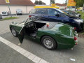 Frogeye Geschichte - Mein Austin Healey MK I - Frosch