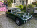 Frogeye Geschichte - Mein Austin Healey MK I - Frosch