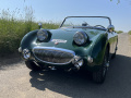 Frogeye Geschichte - Mein Austin Healey MK I - Frosch