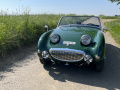 Frogeye Geschichte - Mein Austin Healey MK I - Frosch