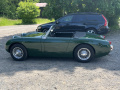 Frogeye Geschichte - Mein Austin Healey MK I - Frosch