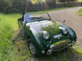 Frogeye Geschichte - Mein Austin Healey MK I - Frosch