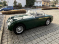 Frogeye Geschichte - Mein Austin Healey MK I - Frosch