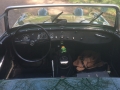 Frogeye Geschichte - Mein Austin Healey MK I - Frosch