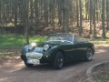 Frogeye Geschichte - Mein Austin Healey MK I - Frosch