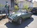 Frogeye Geschichte - Mein Austin Healey MK I - Frosch