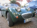 Frogeye Geschichte - Mein Austin Healey MK I - Frosch