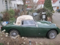 Frogeye Geschichte - Mein Austin Healey MK I - Frosch