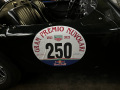 Frogeye Geschichte - Mein Austin Healey MK I - Frosch