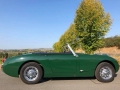 Frogeye Geschichte - Mein Austin Healey MK I - Frosch
