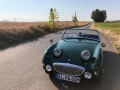 Frogeye Geschichte - Mein Austin Healey MK I - Frosch