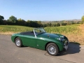 Frogeye Geschichte - Mein Austin Healey MK I - Frosch