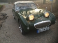 Frogeye Geschichte - Mein Austin Healey MK I - Frosch