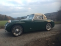 Frogeye Geschichte - Mein Austin Healey MK I - Frosch