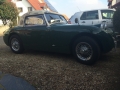Frogeye Geschichte - Mein Austin Healey MK I - Frosch