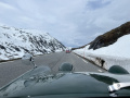 Frogeye Geschichte - Mein Austin Healey MK I - Frosch